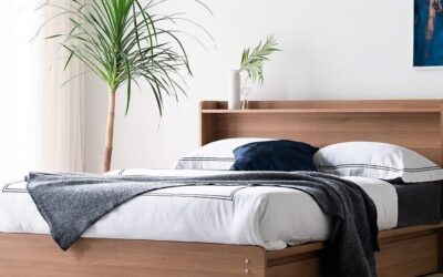 Những mẫu giường gỗ sồi