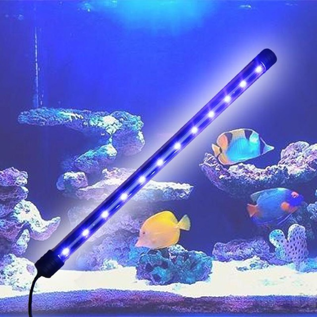 Kinh nghiệm chọn đèn LED thả bể cá