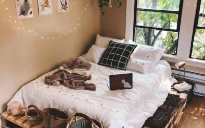 giường gỗ thông là gì?
