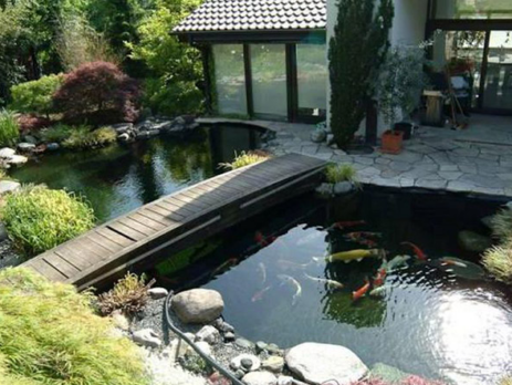 Giới thiệu một số tiểu cảnh về hồ cá sân vườn trang trí cho ngôi nhà bạn nên biết