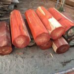 gỗ hương đỏ