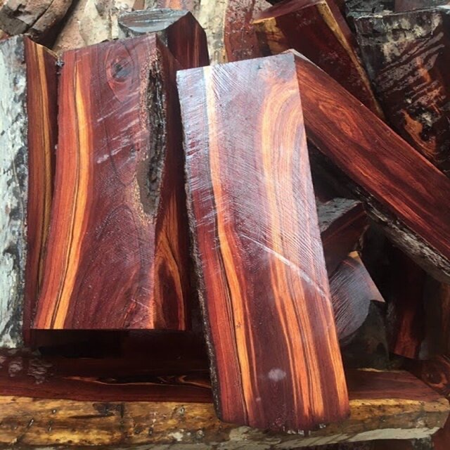 gỗ quý ở Việt Nam