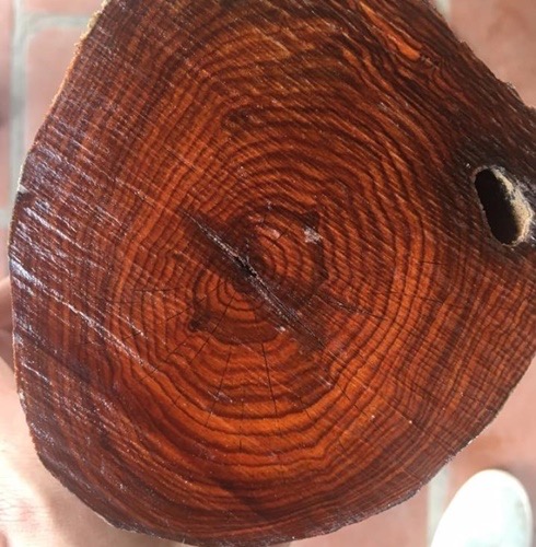 gỗ quý
