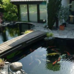 Tìm hiểu về bể cá sân vườn được ưa chuộng nhiều nhất cho sân vườn hiện nay