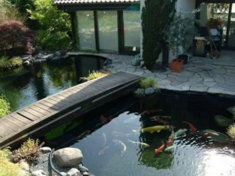 Tìm hiểu về bể cá sân vườn được ưa chuộng nhiều nhất cho sân vườn hiện nay