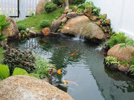 Hướng dẫn cách tự làm hồ cá sân vườn tại nhà đơn giản nhất bạn nên biết