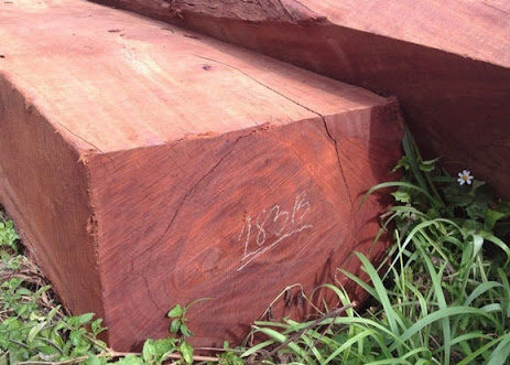 gỗ hương đá