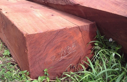 gỗ hương đá