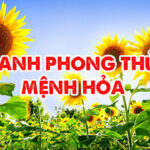 Tranh phong thủy mệnh Hỏa thường mang đặc trưng và màu sắc như thế nào?