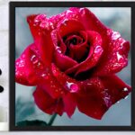 Vẻ đẹp sinh động và ý nghĩa chất chứa bên trong tranh thêu tay Hoa hồng