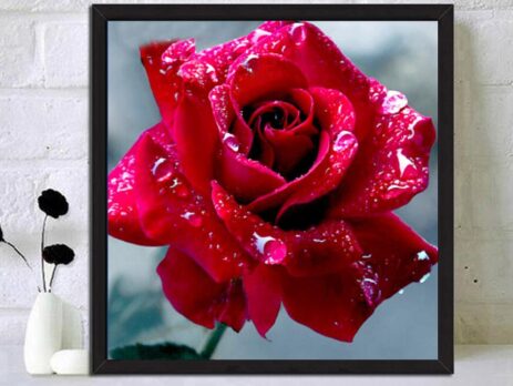 Vẻ đẹp sinh động và ý nghĩa chất chứa bên trong tranh thêu tay Hoa hồng