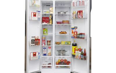 Bạn có nên mua tủ lạnh LG 2 cánh hay không? Giá có đắt không?
