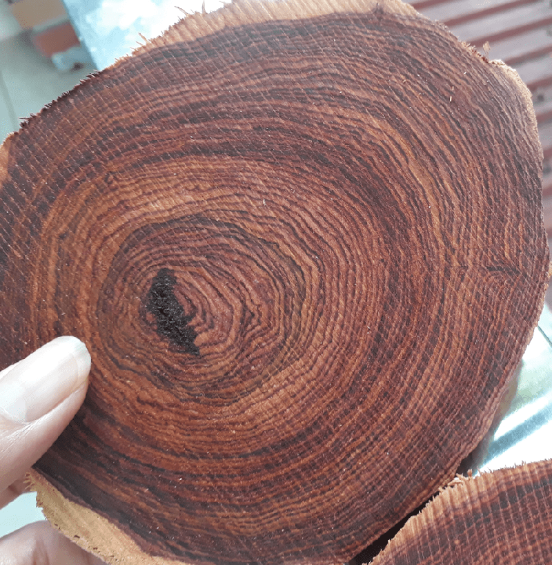 gỗ ván