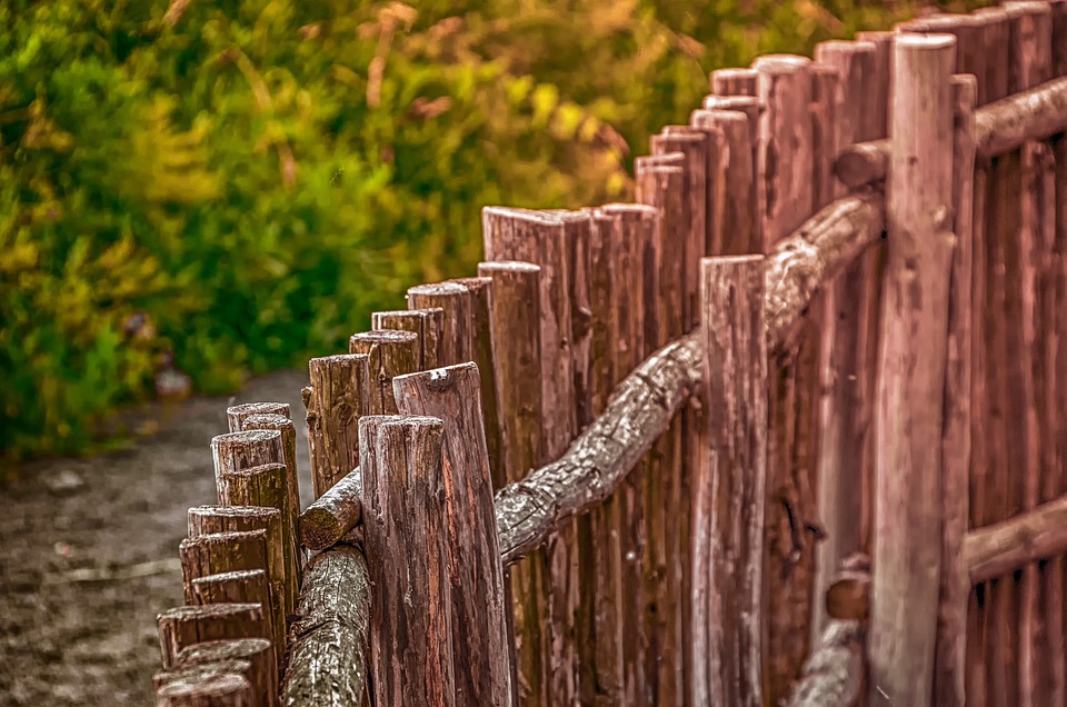 Một số mẫu hàng rào gỗ đẹp được ứng dụng trang trí sân vườn nhiều nhất