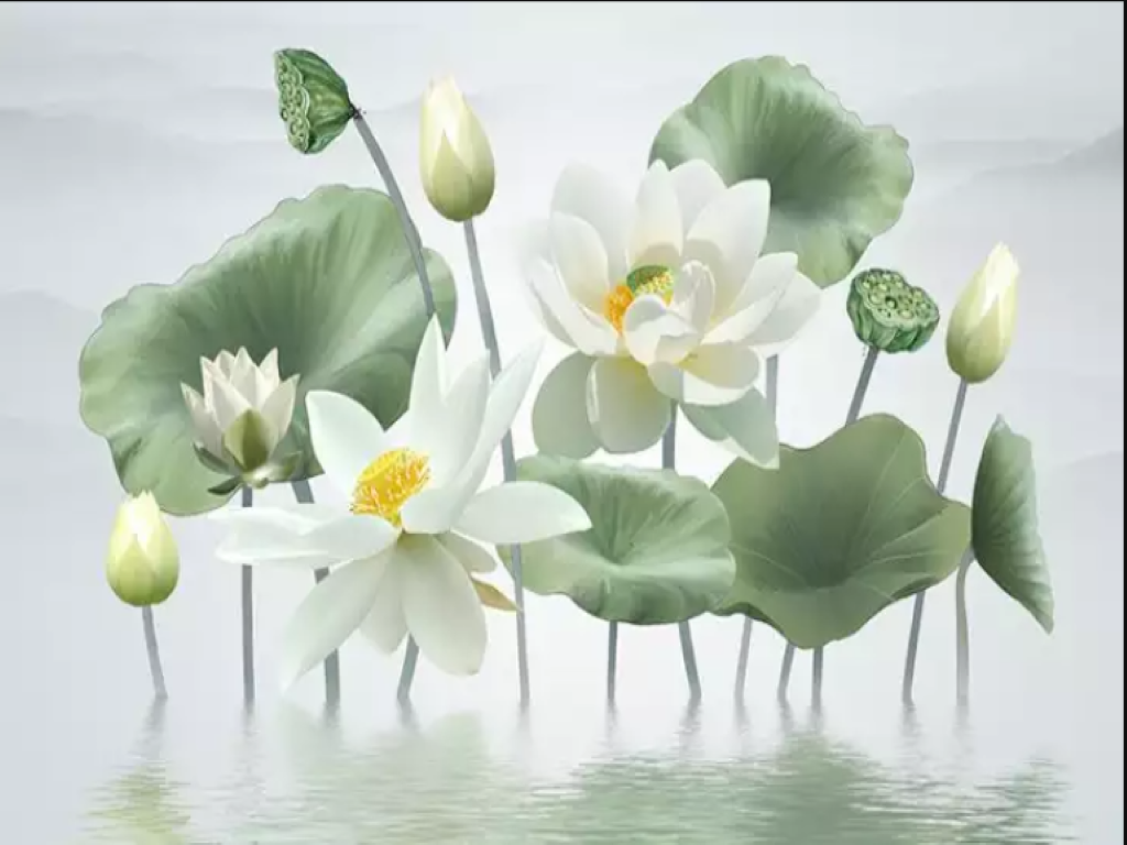 Loài hoa sen với sắc trắng tinh khôi và hương thơm ngan ngát đã được yêu thích và trân trọng trong văn hóa Việt Nam. Để tìm hiểu thêm về các loài hoa sen khác nhau, hãy xem ảnh hoa sen đầy màu sắc và đa dạng này.