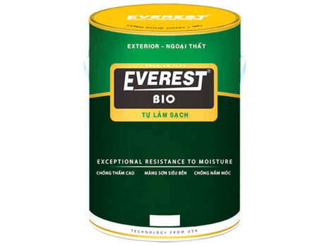 Thương hiệu sơn Everest mà bạn không nên bỏ qua nếu không phải hối tiếc
